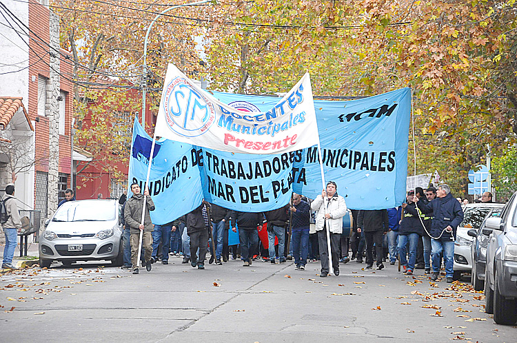 stm docentes
